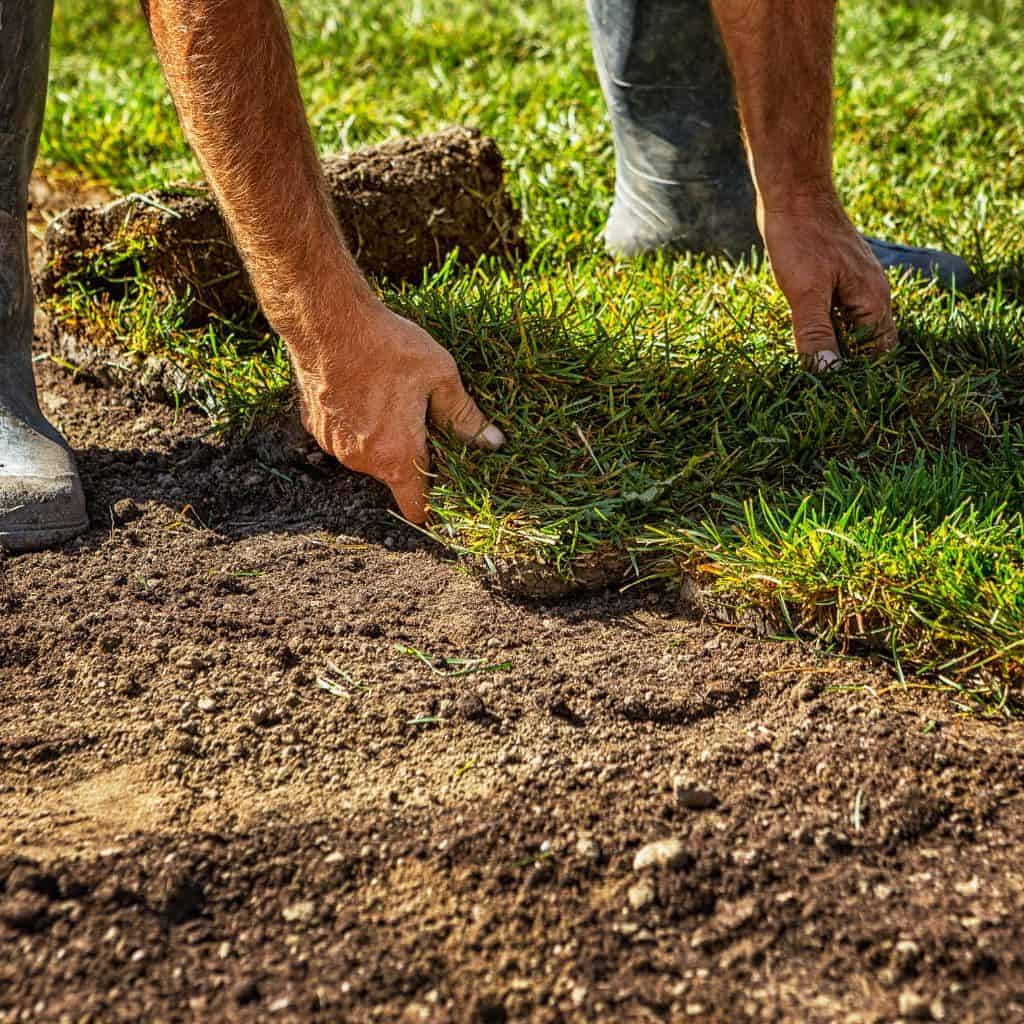 lawn installation